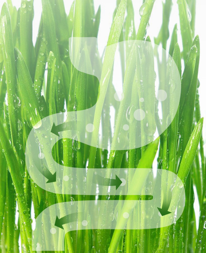 8d33407ec79e0ebeafc823f5ab750a48