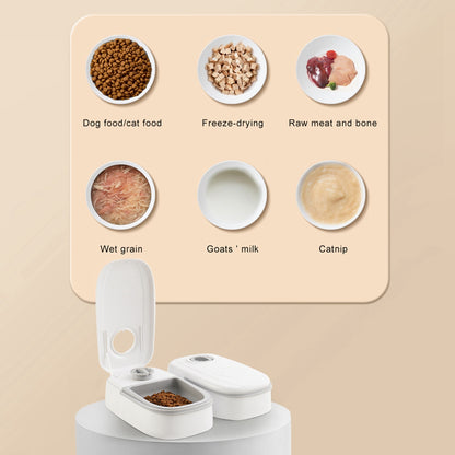Automatic Pet Feeder: Scheduled Feeding for Cats & Dogs