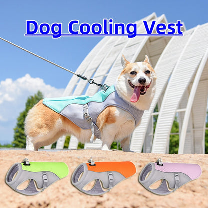 Sun-Proof Cooling Dog Vest - Breathable Outdoor Walking Apparel