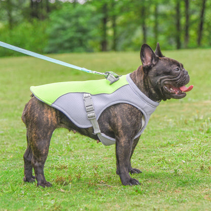 Sun-Proof Cooling Dog Vest - Breathable Outdoor Walking Apparel